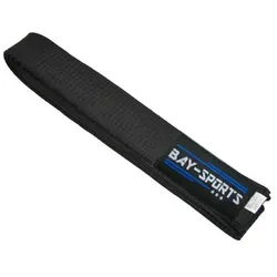 BAY-Sports Karateanzug Budogürtel Karategürtel Kampfsportgürtel schwarz Budogürtel, Judogürtel, Taekwondogürtel, Länge 160 cm - 350 cm schwarz 320 cm