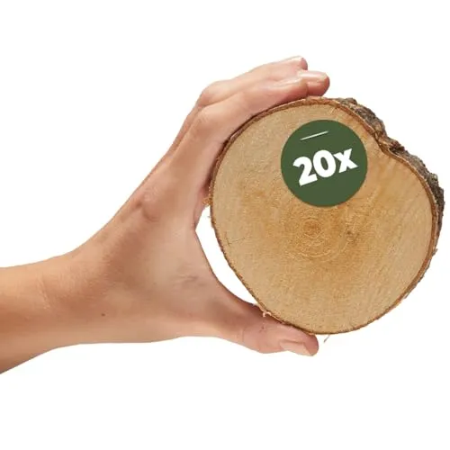 Kleine Holzscheiben 8 cm zum Holz-Deko Basteln - 20 Stk. runde EU Birkenholz Baumscheiben