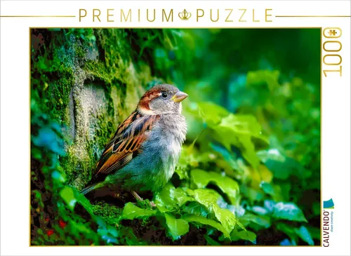 CALVENDO Puzzle Die Poesie des Alltags | 1000 Teile Lege-Größe 64 × 48 cm Foto-Puzzle für glückliche Stunden