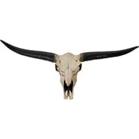 Deko Schädel 132cm MCW-A14 von MCW