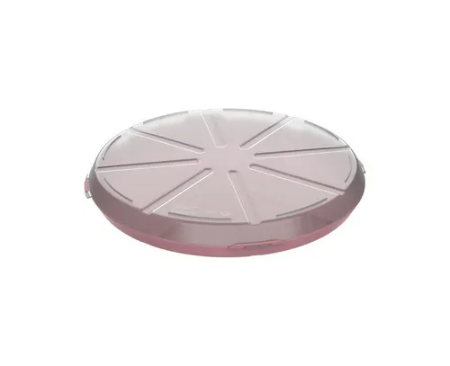 elasto Aufbewahrungssystem Pizzabox 'ToGo'