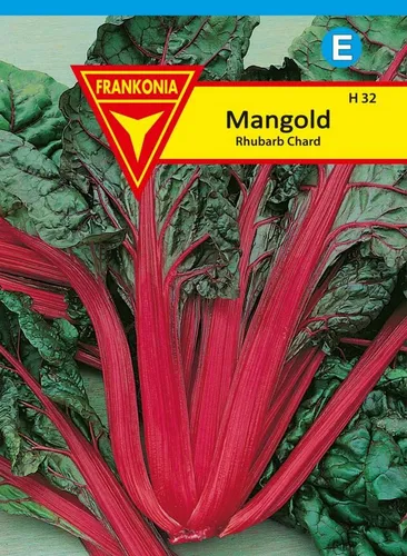 FRANKONIA Gemüsesamen Mangold rot, Rhubarb Chard, Mangold-Samen als Salat / roh / Gemüse, Beta vugaris
