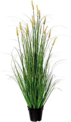 Kunstgras Grasbusch Pennisetum Gras, Creativ green, Höhe 120 cm