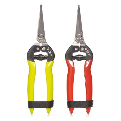 Baricus Zauberscheren 2er-Set – Präzise Gartenscheren für Blumen, Gemüse & Pflanzen - Baumscheren & Gartenscheren – Mit scharfen Edelstahlklingen und ergonomischem Design für müheloses, kontrolliertes Schneiden in Garten und Haushalt.