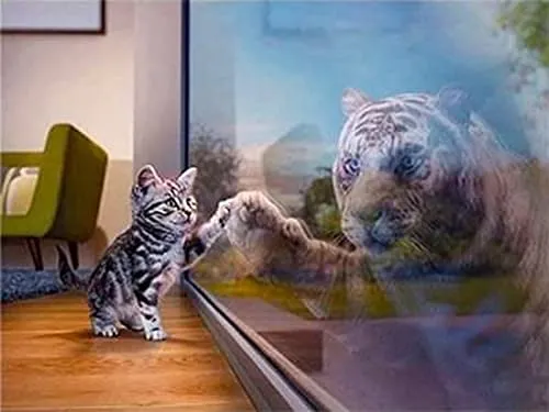 Pracht Creatives Hobby Diamond Painting Set, Bild mit Motiv Kätzchen und Zubehör, Größe ca. 35 x 25 cm, Bastelset zum Malen mit Glitzersteinchen für Kinder ab 5 Jahren