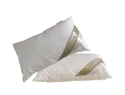 Betten Hofmann Kopfkissen 2 Stück - Waschbare Nackenkissen aus 100% Baumwolle - 2 Stück Kopfkissen 30x50 cm, ideal für Rückenschläfer und Seitenschläfer. Weich gefüllt mit fränkischen Gänsedaunen, waschbar bis 60°C und allergieneutral - perfekt für einen erholsamen Schlaf.