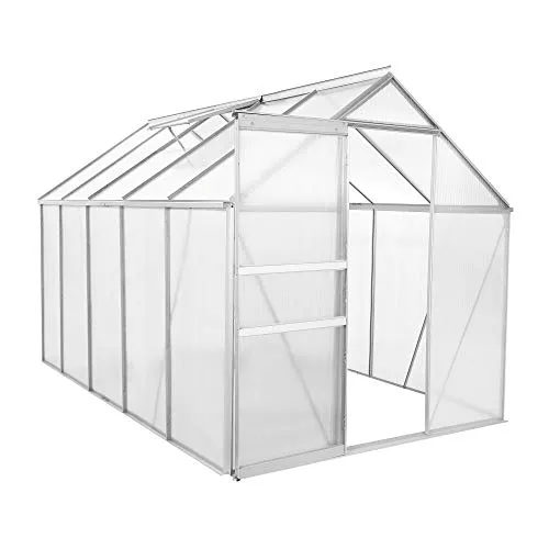 Zelsius Aluminium Gewächshaus 310 x 190 cm - Gartengewächshaus mit robustem Aluminiumrahmen und UV-beständigen 6 mm Platten, ideal für den Anbau von Gemüse und Kräutern, standfest bei jedem Wetter.