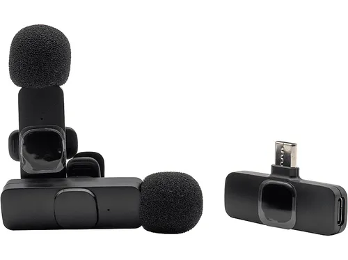 RealPower HS-1 Wireless Microphone Set