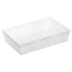 Rotho Aufbewahrungsbox Basic 15 x 23 cm Kunststoff Transparent L (Large)