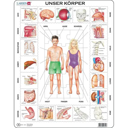 Larsen Puzzle Puzzle - Unser Körper, lehrreiches Rahmenpuzzle für Kinder ab 3 Jahren