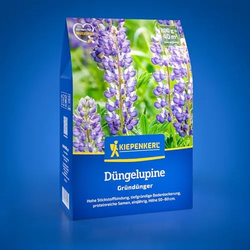 Produktbild Kiepenkerl Düngelupine 1082000 – Gründüngungspflanze mit hoher Stickstoffbindung, proteinreiche Lupinensamen, 0,8 kg, ideal für Bodendüngung und Bodenfruchtbarkeit für 40 m²