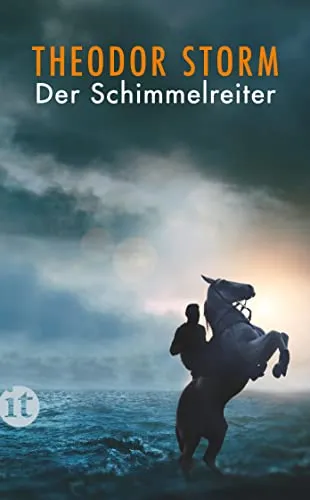 Der Schimmelreiter: Novelle (insel taschenbuch)