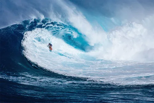 Poster Big Wave Surfing - Poster - The perfect wave