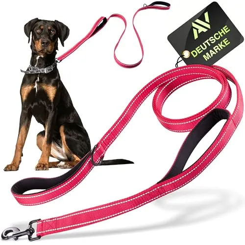 AVANA Hundeleine - Reflektierende Führleine mit integriertem Kurzführer, 1,5 Meter lang, ideal für große Hunde bis 90 kg