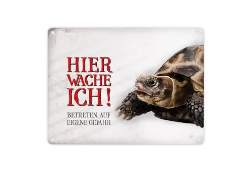speecheese Metallschild Metallschild mit Schildkröte Motiv und Spruch: Betreten auf eigene