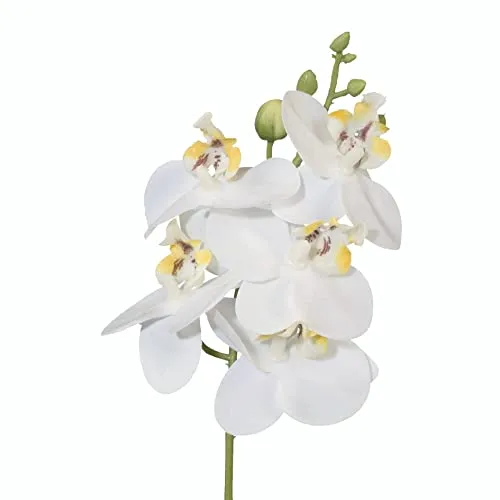 creativ home Künstliche Orchidee Orchideenzweig Kunstblume Phalaenopsis mit Stiel 27cm. Real Touch Oberfläche. (Weiß)