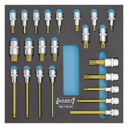Hazet Werkzeugmodul 163-119/23 Steckschlüssel - Steckschlüssel-Modul mit 23 Teilen, ideal für präzise Arbeiten und hohe Langlebigkeit in Werkstätten.