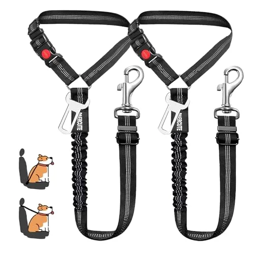 MOLHEM Sicherheitsgurt für Haustiere, Hunde, für Auto, verstellbar, elastisch, für Autos, stoßfest, elastisch, gepolstert, Schwarz, 2 Stück