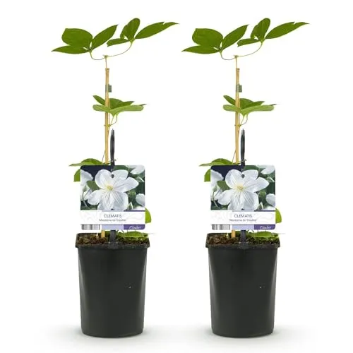 Produktbild GreenboutiQ