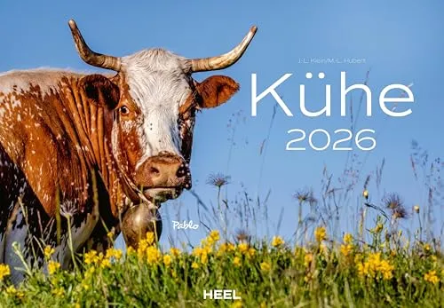 Kühe Kalender 2026 Wandkalender: Der Tierkalender mit den charmanten Namen