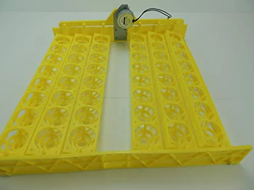 Campo24 Wendehorde gelb 48 Hühnereier, Enteneier