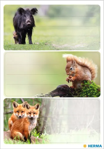 HERMA Buchetiketten VARIO