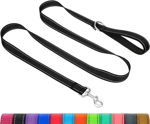 Taglory Hundeleine mit gepolsterter Handschlaufe, Reflektierende Führleine für kleine, mittlere und große Hunde sowie Welpen, Aus reißfestem Nylon für tägliche Spaziergänge, Schwarz