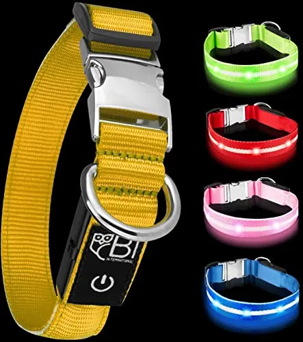 Leuchthalsband für Hunde [Das Original] Leuchtendes LED Hundehalsband zum spazieren gehen auch im Dunkeln- sehr Lange Akkulaufzeit – Sicher Dank hochwertigem Metallverschluss (S (28-40 cm), Gelb)