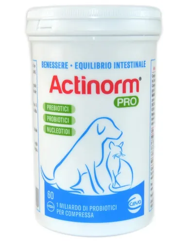 Actinorm Pro Für Hunde Und Katzen 60 Tabletten
