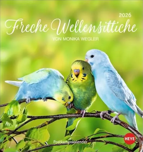 Freche Wellensittiche Postkartenkalender 2026: Die bunten Vögel in einem kleinen Kalender zum Aufstellen und Aufhängen. Perforierter ... von Monika Wegler. (Postkartenkalender Heye)
