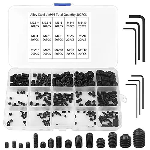 Stück Madenschrauben Sortiment M2.5 M3 M4 M5 M6 M8 Schrauben Gewindestift Set Kohlenstoffstahl Sechskantschraubensatz mit Inbusschlüssel mit Aufbewahrungsbox (Schwarz) 300