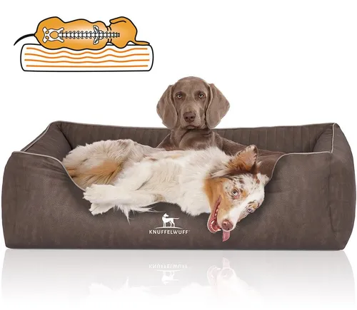 Knuffelwuff Hundebett Tampa – Orthopädisches Tierbett für alle Rassen - Luxuriöses Hundebett Tampa mit orthopädischem Liegekissen, ideal für die Wirbelsäulenstütze. Hochwertiges Kunstleder, abnehmbar und leicht zu reinigen – für jeden Hund ein kuscheliger Rückzugsort.