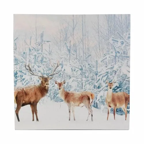 Nexos Trading LED Wandbild Beleuchtung 40x40 cm Winterwald 40 Glasfaserstränge weiß LED Fotodruck Kunstdruck Leuchtbild Winter Batterie Timer