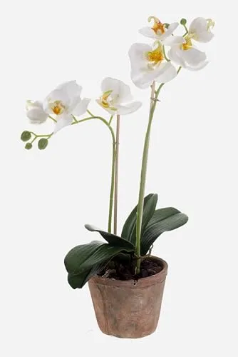 artplants.de Künstliche Phalaenopsis Orchidee MINA im Topf, 2 Zweige, weiß, 45cm - Elegante Deko-Kunstblume mit 8 weißen Blüten und 6 Knospen. Perfekt für Sideboards, Fensterbänke oder als Geschenk. Hochwertig verarbeitet im runden Terracotta-Topf.