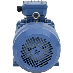 vidaXL 3-Phasen Asynchronmotor 3 kW - Steuerung für Lineareinheiten, leistungsstarker 3 kW Elektromotor mit IP55-Schutz und Lüfterkühlung für zuverlässigen Betrieb in kommerziellen und privaten Anwendungen.