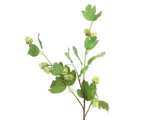 Kunstzweig Künstlicher HOPFENZWEIG ca 74cm. mit Hopfendolden. GRÜN., Floratexx GmbH, Höhe 74.00 cm