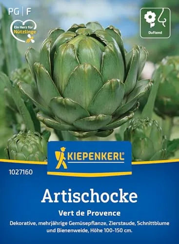 Kiepenkerl Artischockensamen Vert de Provence 1027160 - dekorativ - mehrjährig - Zierstaude - Schnittblume - Saatgut, Samen Gemüse, Pflanzensamen
