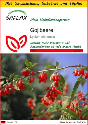 SAFLAX Blumensamen SAFLAX - Anzuchtset - Gojibeere