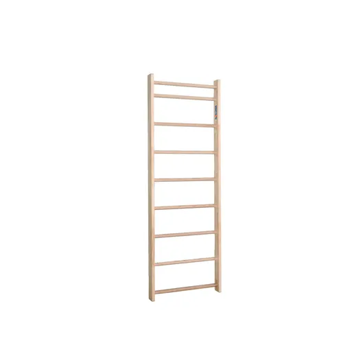 Sport-Thieme Sprossenwand 