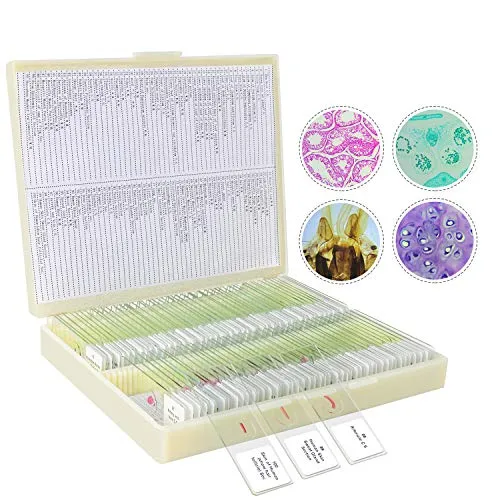 Objektträger von BNISE