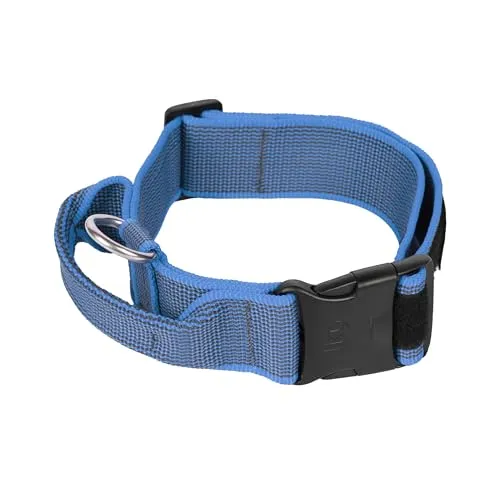 JULIUS K-9 Color & Gray K9-Halsband mit Haltegriff von JULIUS-K9