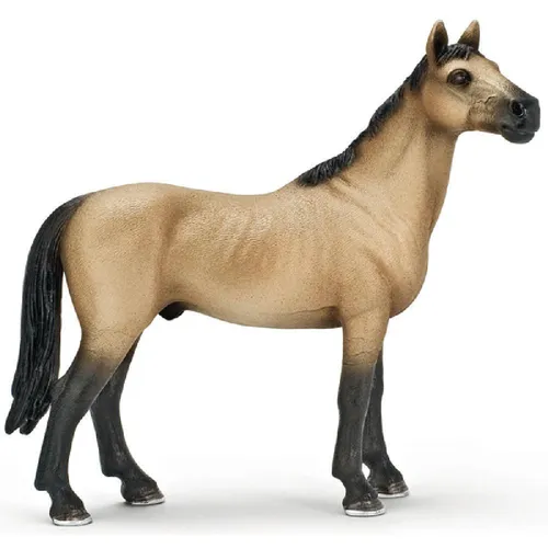 Schleich SCHLEICH - Farm Life, Achal Tekkiner Hengst