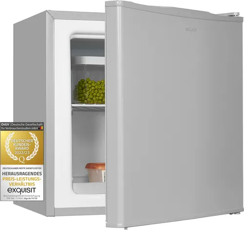 Exquisit Mini Gefrierschrank GB40-150E - 31L Volumen, grau - Tiefkühler mit 31L Nutzinhalt, verstellbarer Gitterablage und wechselbarem Türanschlag für maximale Flexibilität in der Küche.