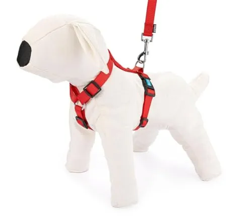 HAPPET Hosenträger XL Rot Starke Nylon Träger 2,5cm für Große Hunde, Druckfrei & Bequem für Spaziergänge, Verstellbares Hundegeschirr Sicherheitsgeschirr für Training & Gassi, Nylon Brustgeschirr