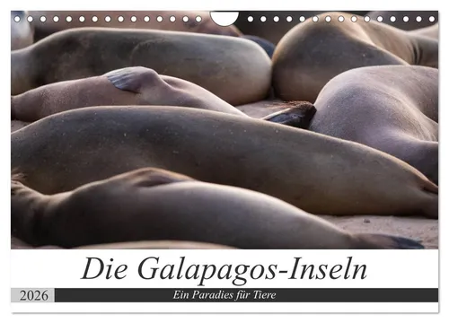 Jeanette Dobrindt | Galapagos-Inseln - Ein Paradies für Tiere (Wandkalender 2025) - Erleben Sie die faszinierende Tierwelt der Galapagos-Inseln in diesem hochwertigen Wandkalender. Ideal für Naturliebhaber und Reisefans. 14 beeindruckende Motive, perfekt für Ihr Zuhause!