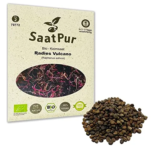 Radies Vulcano BIO Keimsprossen von SaatPur in rot von SaatPur