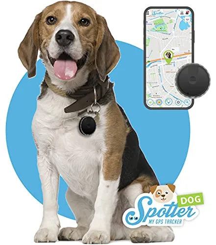 Produktbild Pet Spotter Hunde-GPS-Tracker | Aktivitätentracker ohne Abo