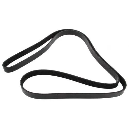 Mapco Keilrippenriemen 261980