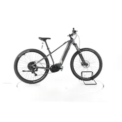 Conway E-Bike Cairon S 2.0 Hardtail Herren 29 Zoll mit Bosch Antrieb