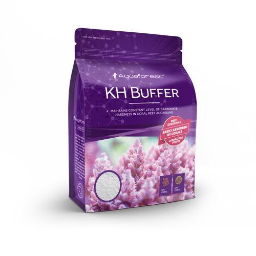 KH Buffer 1200 g
